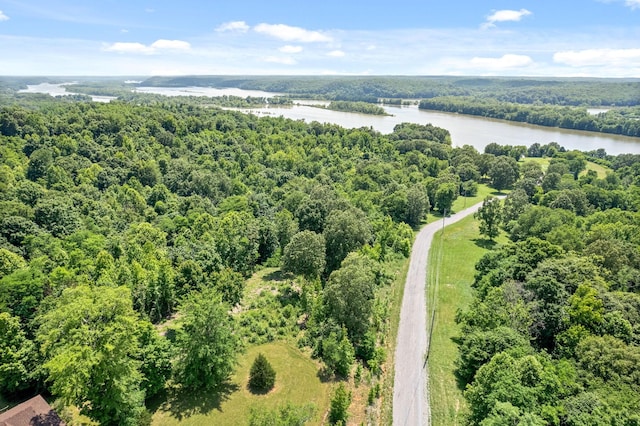 16 Creekmore Ln, Bumpus Mills, TN 37028