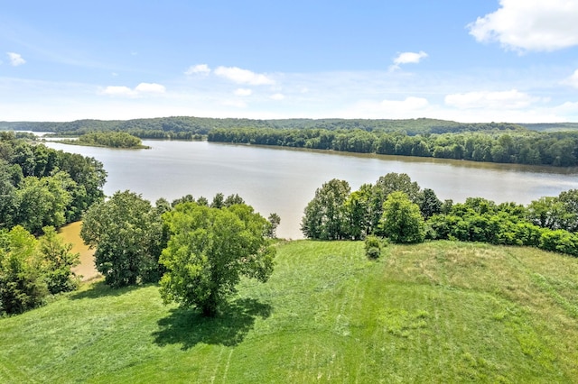 16 Creekmore Ln, Bumpus Mills, TN 37028