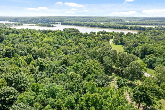 16 Creekmore Ln, Bumpus Mills, TN 37028