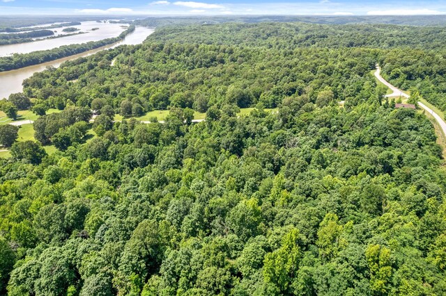 16 Creekmore Ln, Bumpus Mills, TN 37028