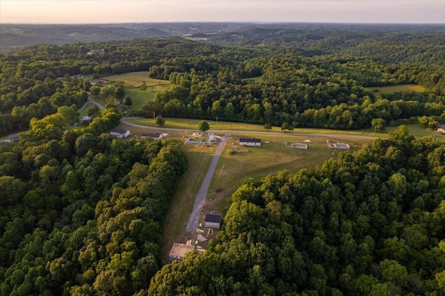 aerial view at dusk with a rural view