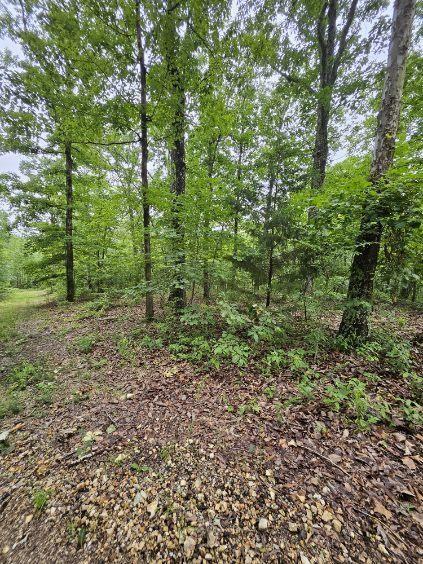 0 Dixie Ct, Holladay, TN 38341 - photo 4