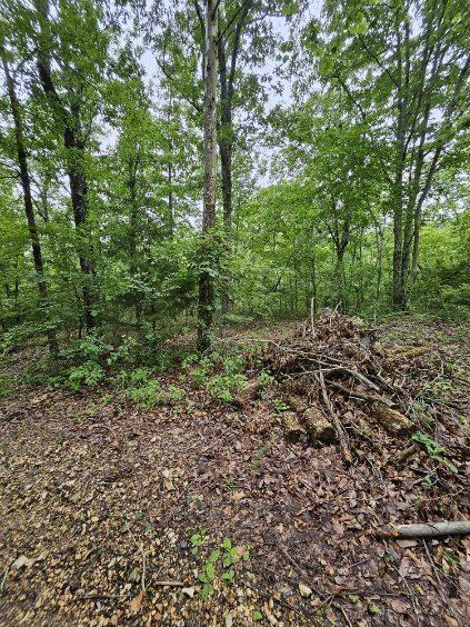 0 Dixie Ct, Holladay, TN 38341 - photo 3