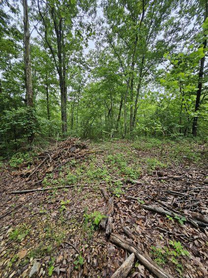 0 Dixie Ct, Holladay, TN 38341 - photo 2