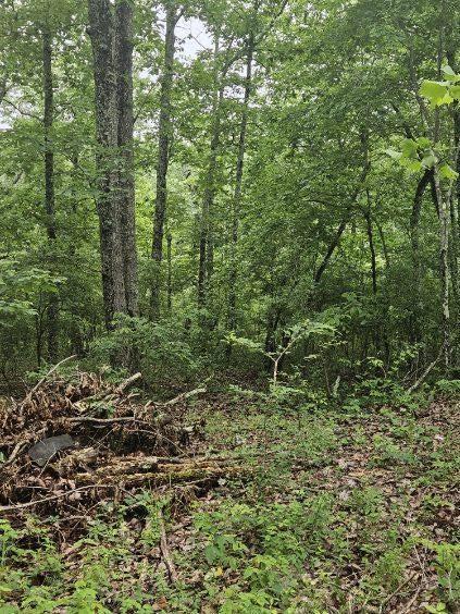 0 Dixie Ct, Holladay, TN 38341 - photo 1