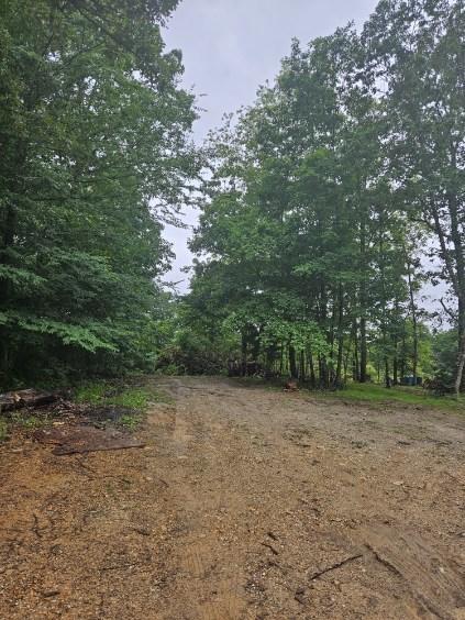 0 Dixie Ct, Holladay, TN 38341 - photo 5