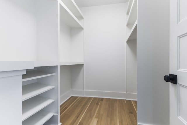 spacious closet with hardwood / wood-style flooring