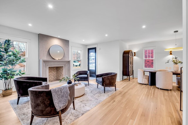 living room with light hardwood / wood-style flooring and a premium fireplace