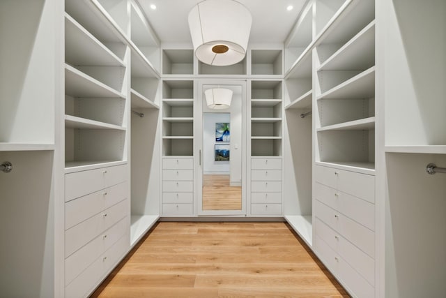 spacious closet with light wood-type flooring