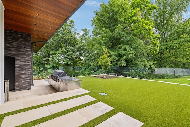 view of yard with a patio area