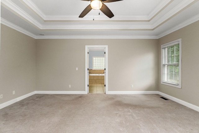 spare room featuring plenty of natural light, baseboards, a raised ceiling, and light colored carpet