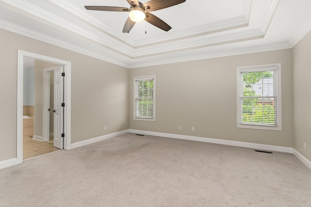 empty room with a tray ceiling, a wealth of natural light, and light colored carpet