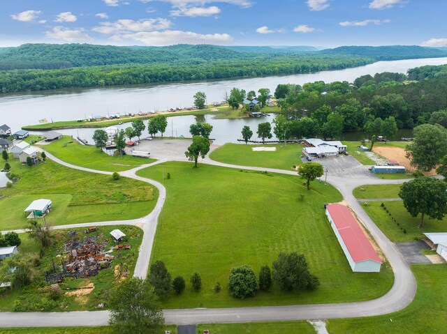 0 Ellen Ln, Decaturville, TN 38329 - photo 1