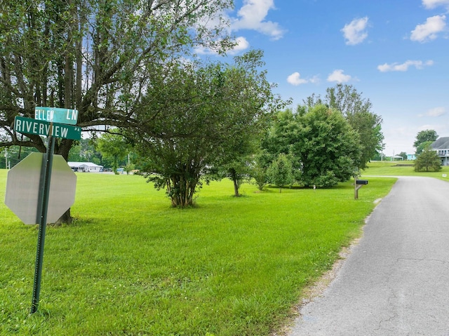 0 Ellen Ln, Decaturville, TN 38329 - photo 9