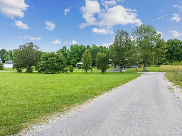 0 Ellen Ln, Decaturville, TN 38329 - photo 8