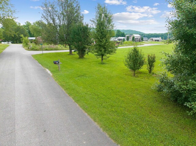 0 Ellen Ln, Decaturville, TN 38329 - photo 10