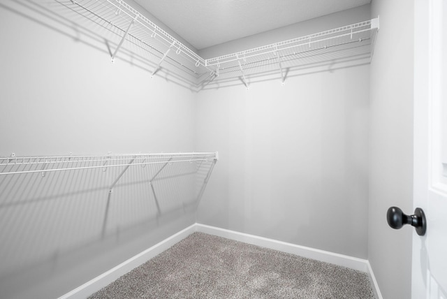 spacious closet with carpet floors