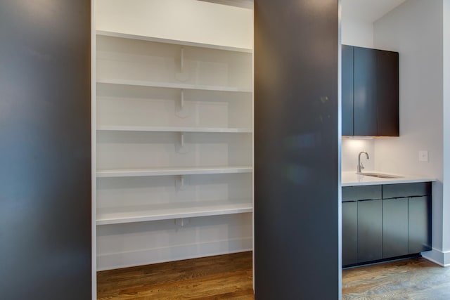 pantry with sink