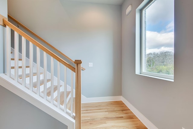 stairway with hardwood / wood-style floors