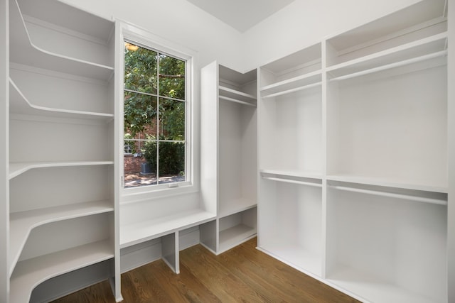 spacious closet featuring dark hardwood / wood-style flooring