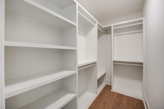 spacious closet with dark hardwood / wood-style flooring