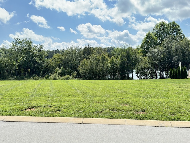 Listing photo 3 for 0 Kayak Way, Winchester TN 37398