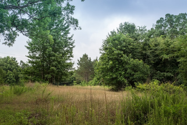 115 Baudy James Rd, Cedar Grove TN, 38321 land for sale