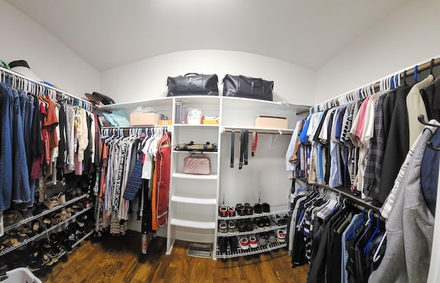 spacious closet featuring dark wood-type flooring