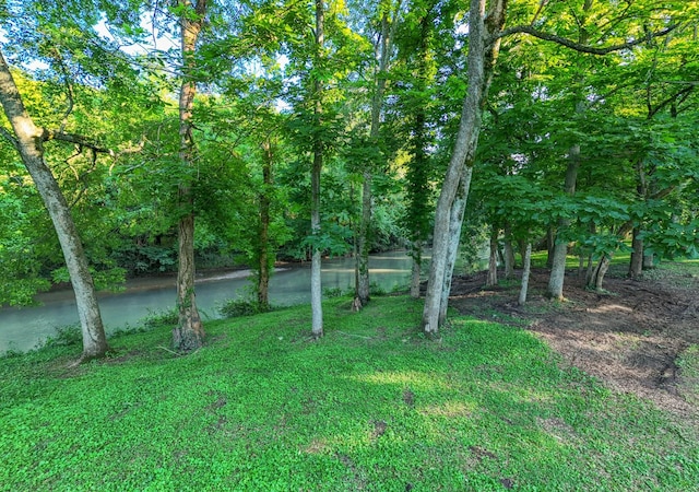 view of yard featuring a water view and a forest view