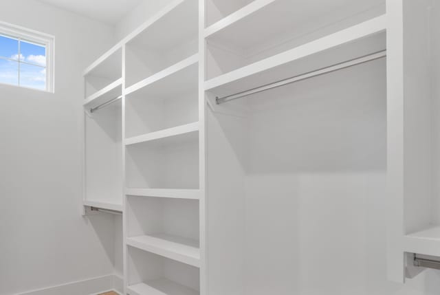 view of walk in closet