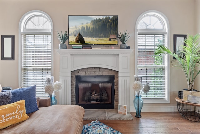 living room featuring hardwood / wood-style flooring