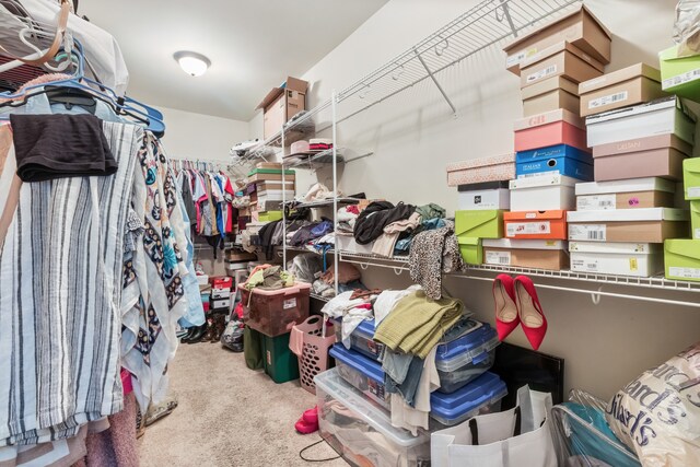 walk in closet with carpet flooring