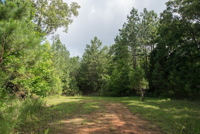 0 Pearson Rd, Cedar Grove TN, 38321 land for sale