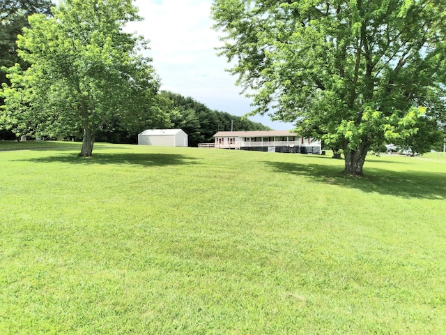 view of yard with a storage unit