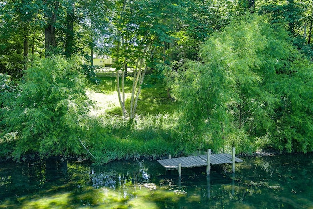 exterior space with a water view