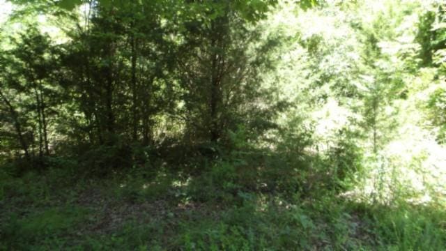 Listing photo 3 for 0 Zion Hill Rd, Cookeville TN 38506