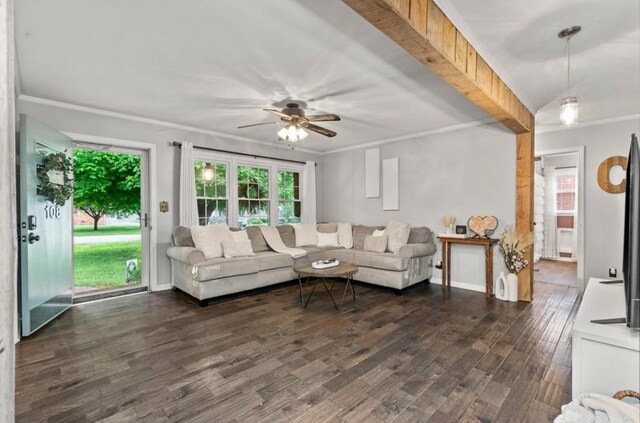 living room with dark wood-type flooring, ceiling fan, ornamental molding, and beam ceiling