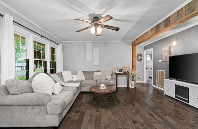 living room with crown molding, dark hardwood / wood-style floors, and ceiling fan