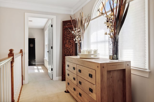 corridor featuring light carpet, crown molding, and plenty of natural light