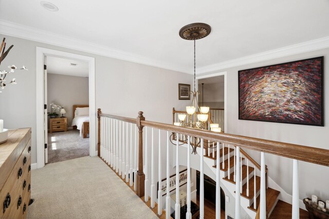 hallway with a chandelier, ornamental molding, and carpet floors