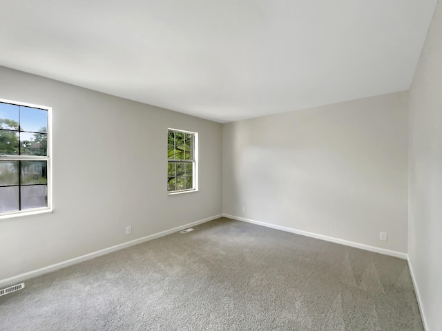 spare room with carpet and plenty of natural light