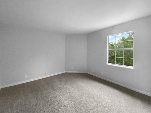 109 Azalea Ct, Clarksville, TN 37042 - photo 13