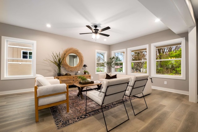 living room with ceiling fan and hardwood / wood-style flooring