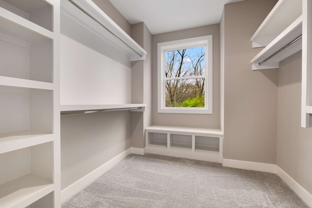 spacious closet with carpet