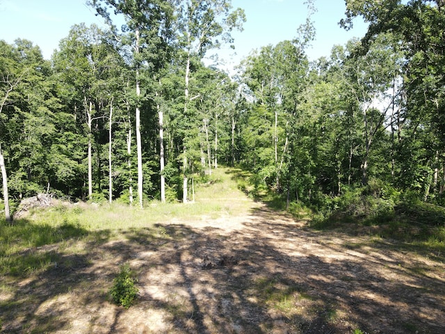 Listing photo 2 for 0 Copper Spring Rd, Springville TN 38256