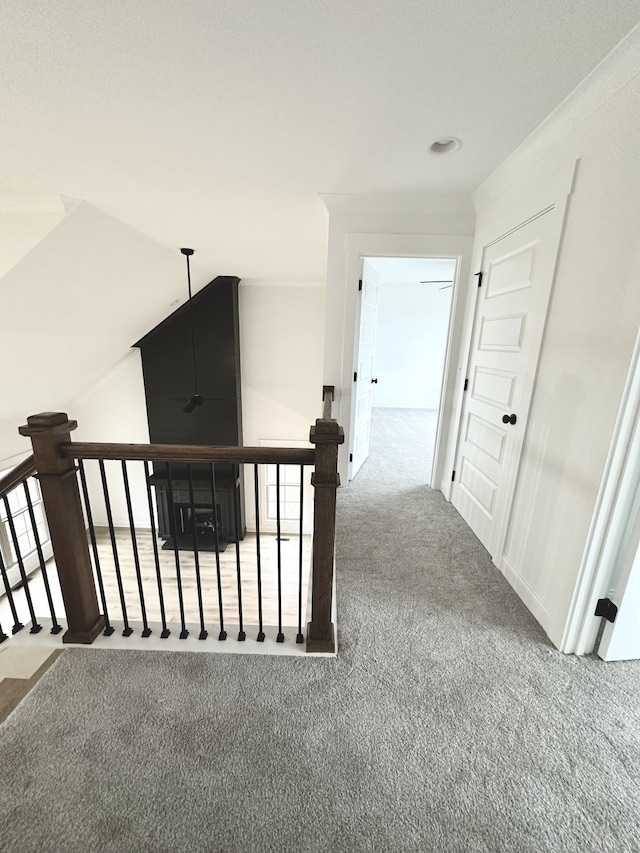 hallway featuring carpet flooring and plenty of natural light