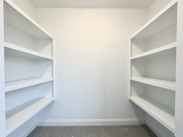 walk in closet with carpet floors