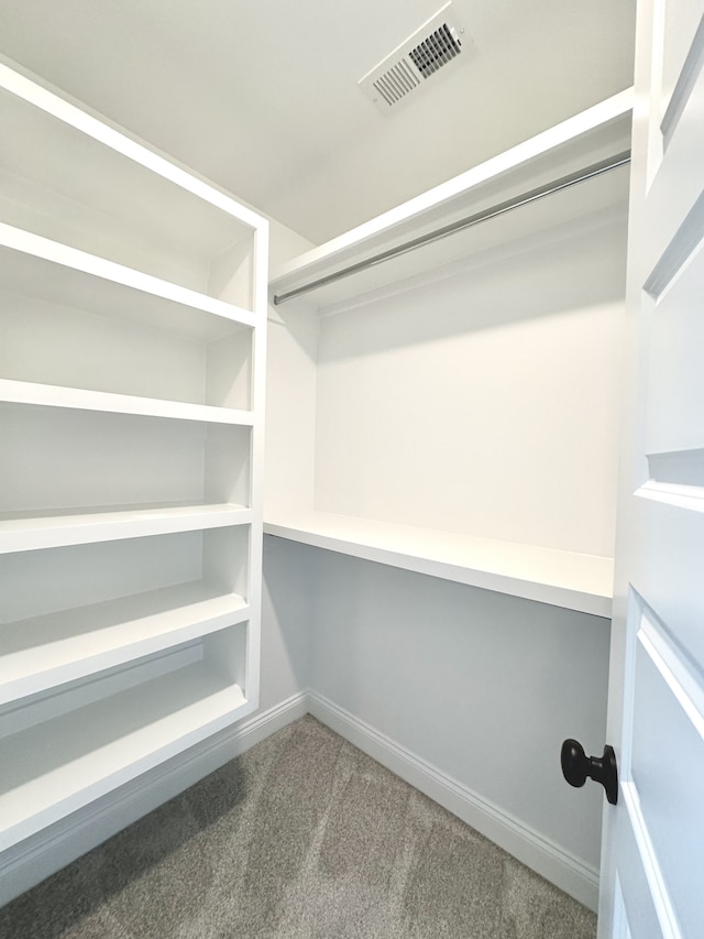 spacious closet with carpet flooring