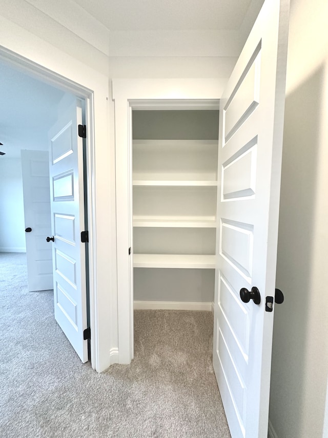 view of closet