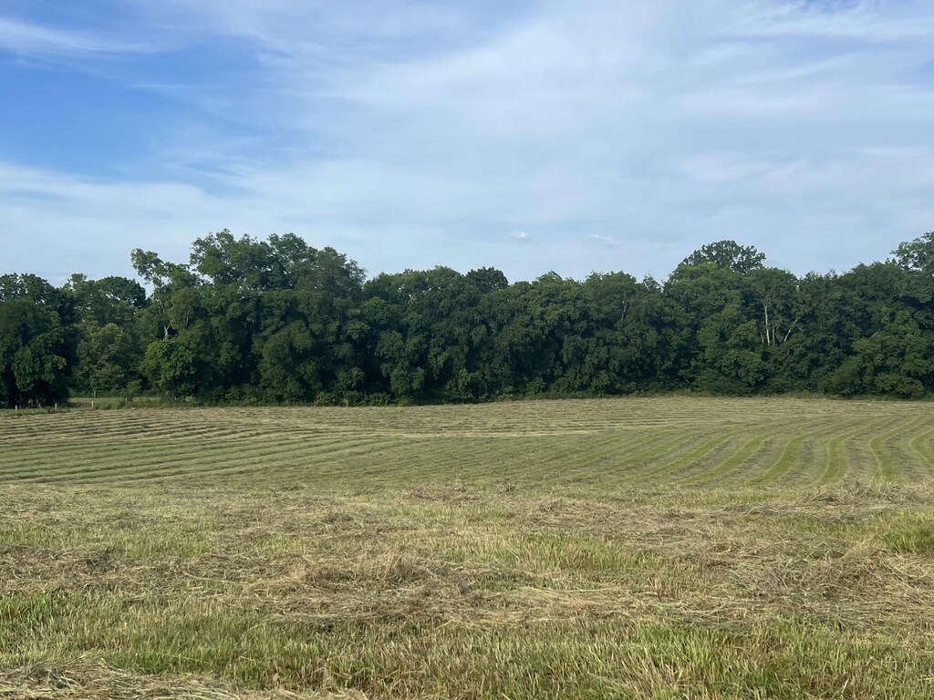 0 Haley Rd, Wartrace, TN 37183 - photo 2
